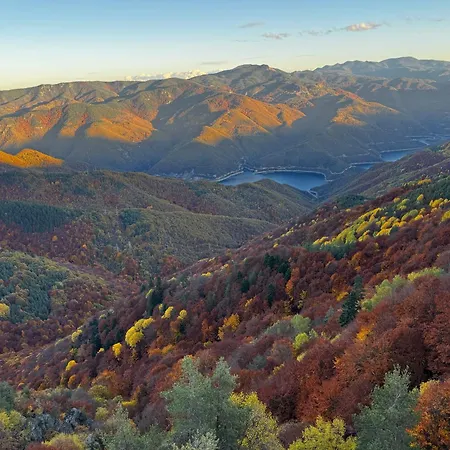 Villa равногор парадайс